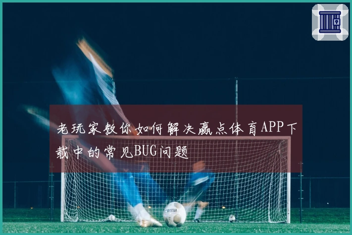 老玩家教你如何解决赢点体育APP下载中的常见BUG问题