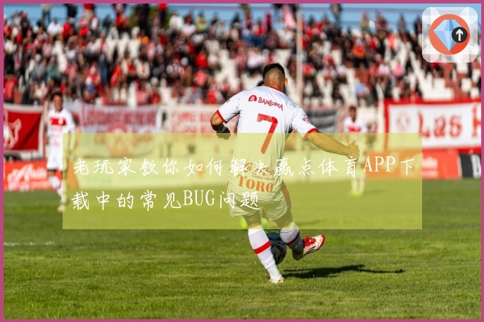 老玩家教你如何解决赢点体育APP下载中的常见BUG问题